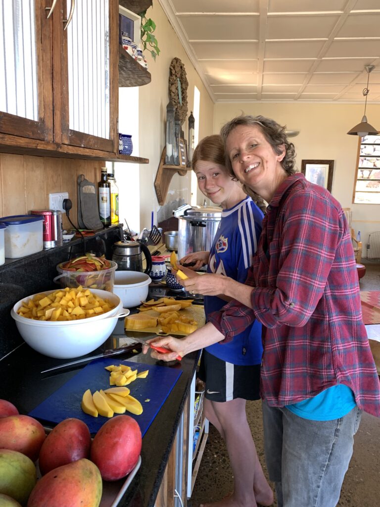 We canned mangoes during mango season!  Great to have these on hand to make a mango cobbler.  Yum!